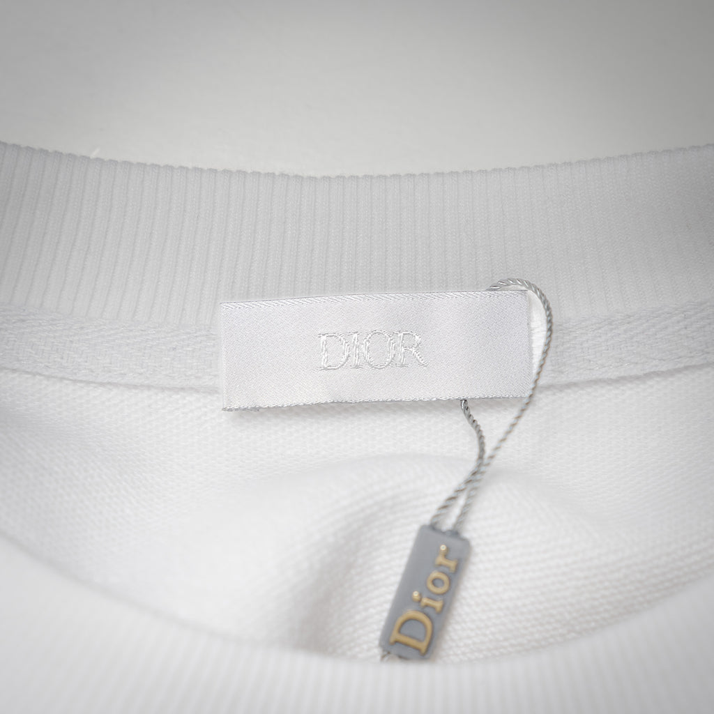 CD 25fw printed shirt