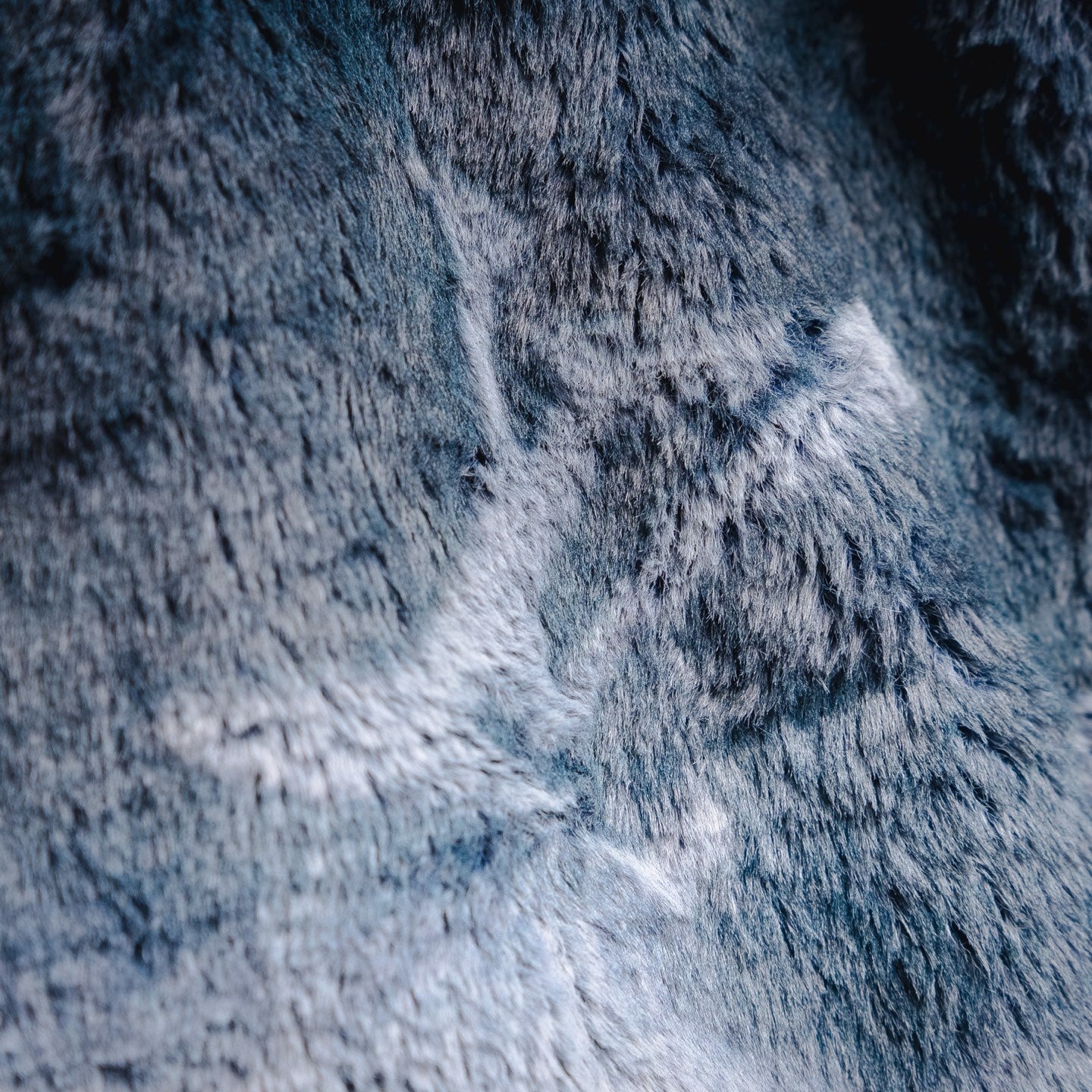 Louis 25fw printed jacket