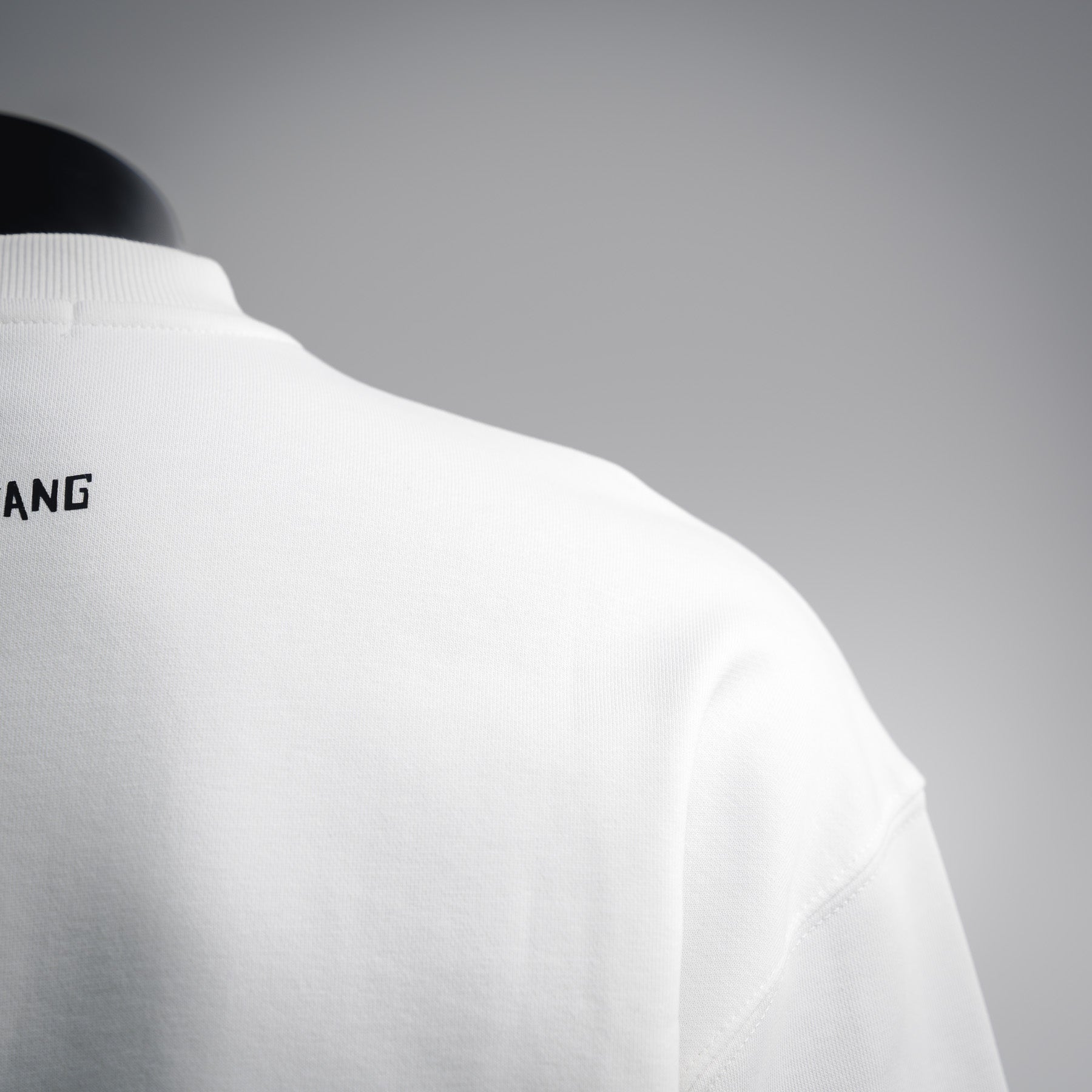 Alex 25fw printed shirt