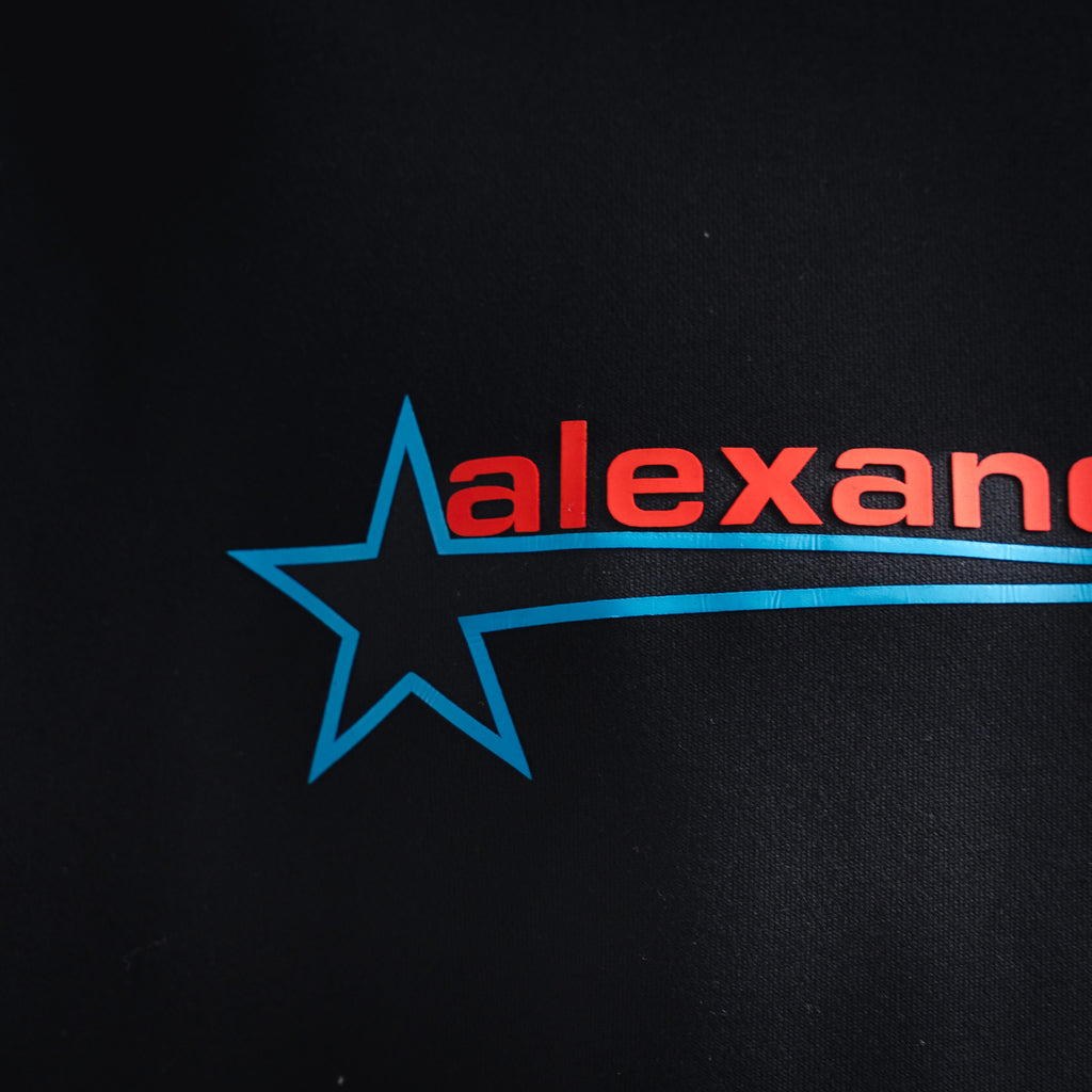 Alex 25fw printed shirt