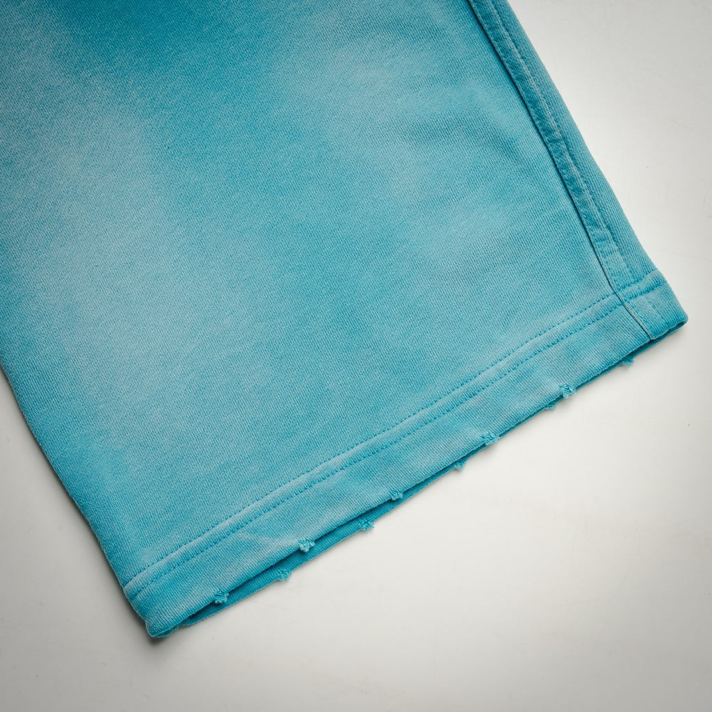 Balen 25fw embroidered pants