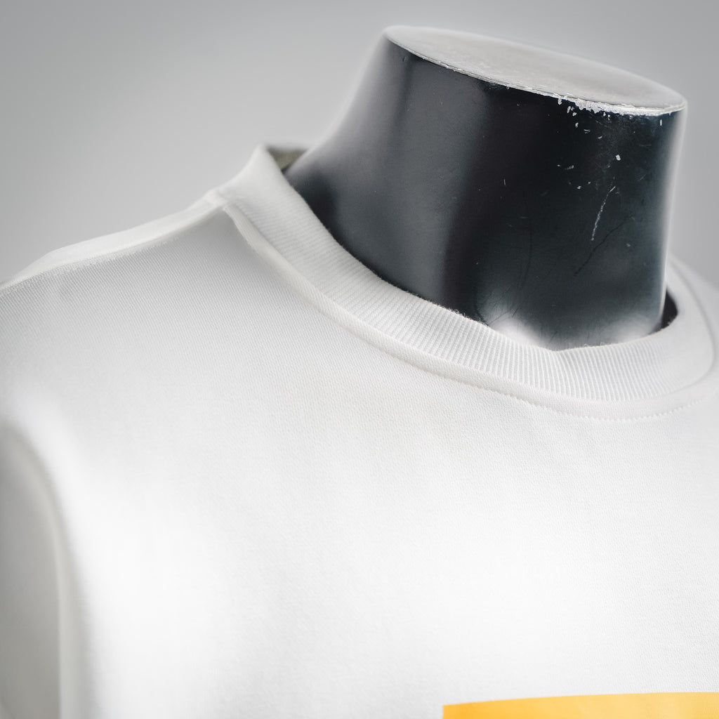 Louis 25fw printed shirt