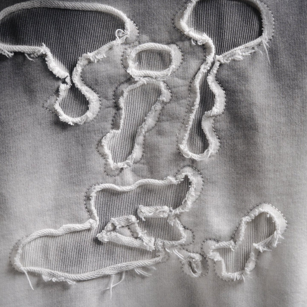 Louis 25fw embroidered hoodie