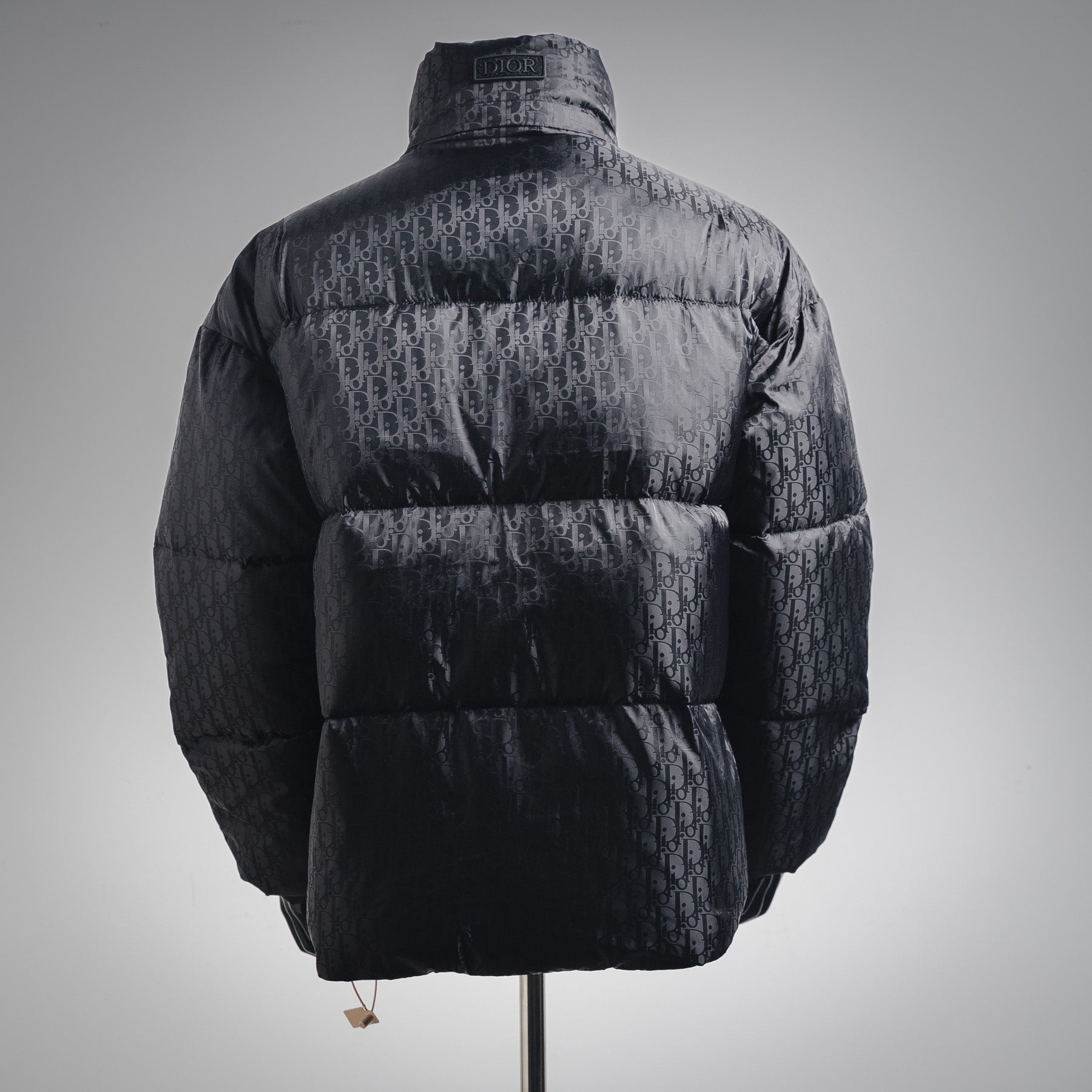 CD 25fw down jacket