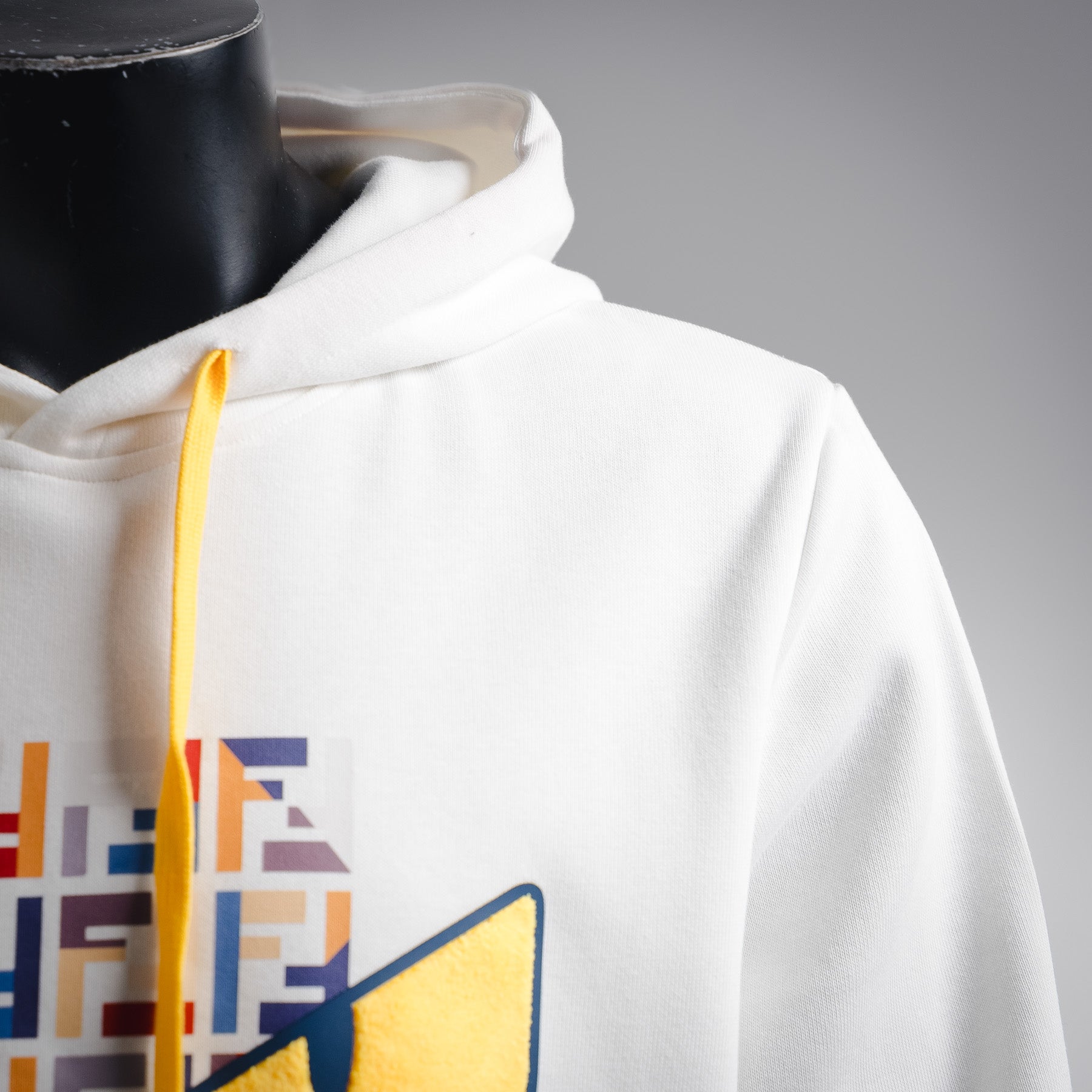 Fend 25fw printed hoodie