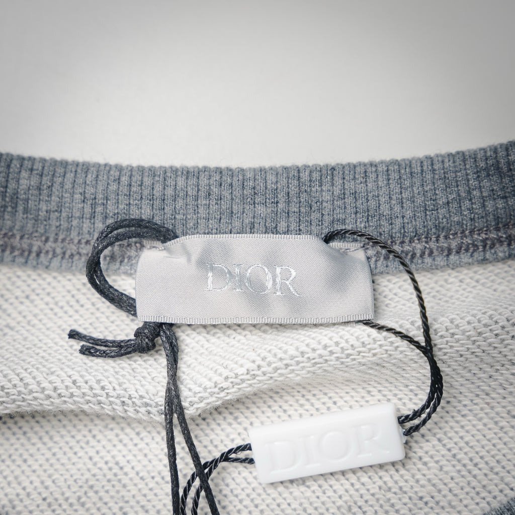 CD 25fw printed shirt