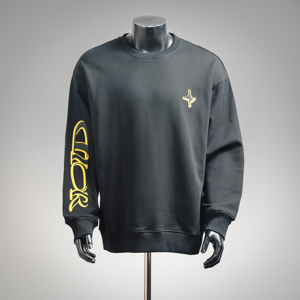 CD 25fw embroidered shirt