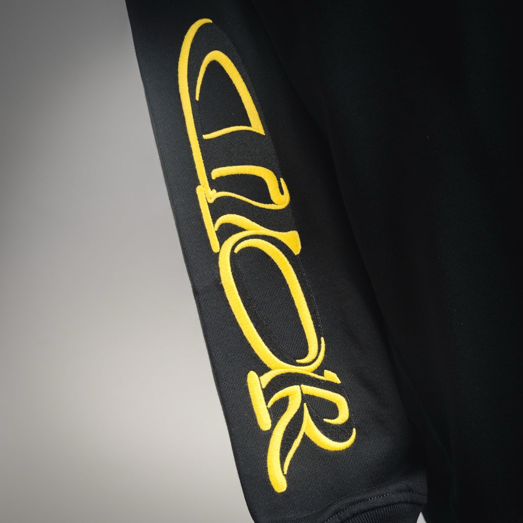 CD 25fw embroidered shirt