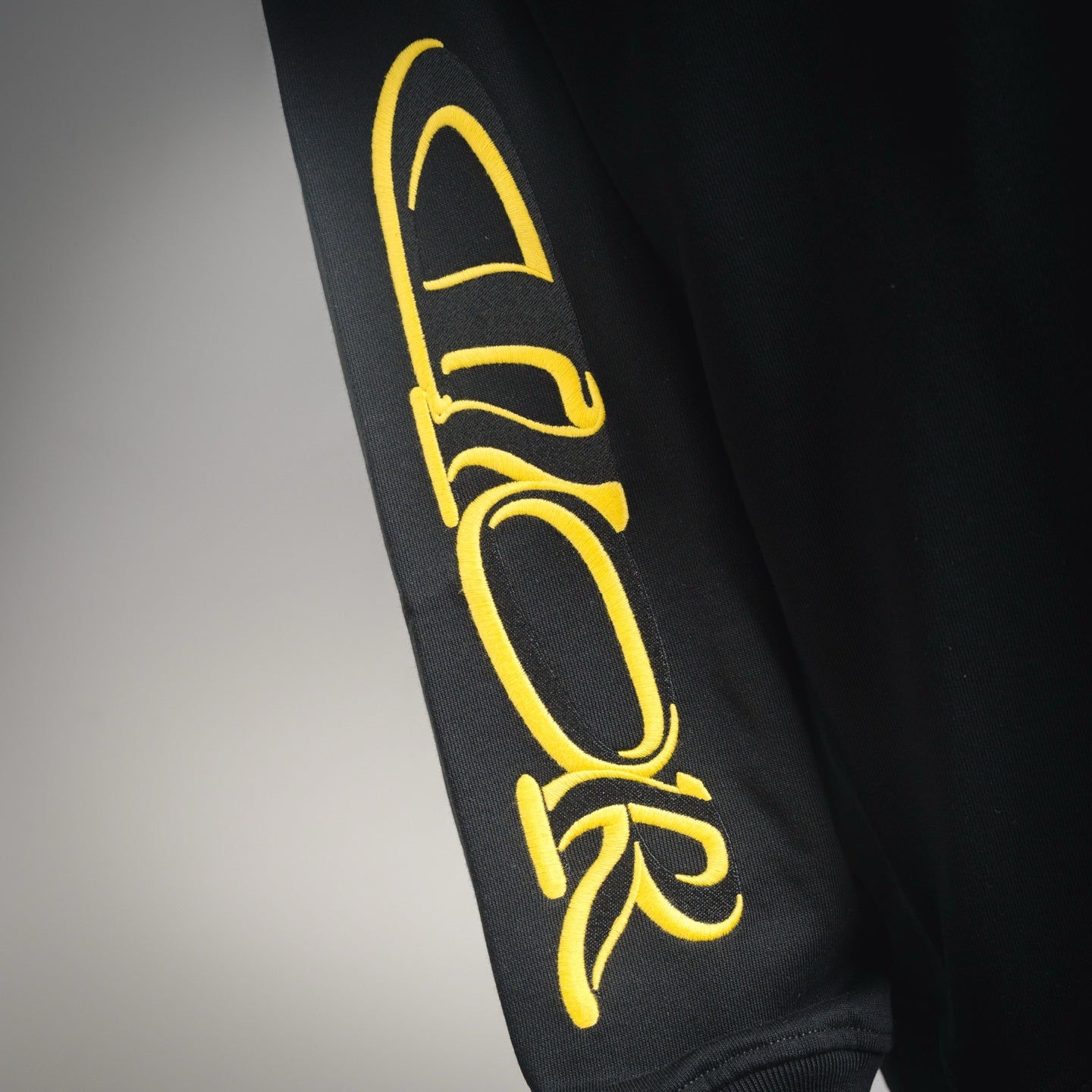 CD 25fw embroidered shirt