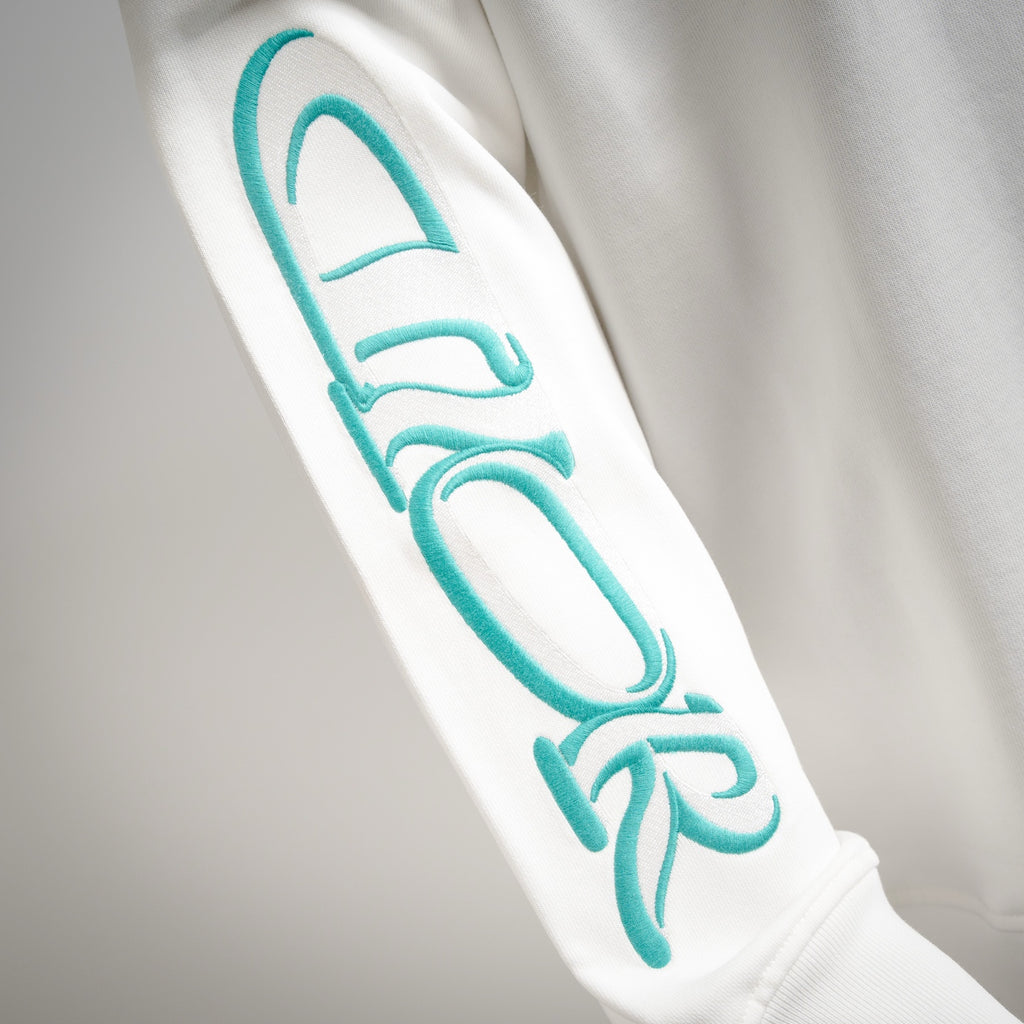 CD 25fw embroidered shirt