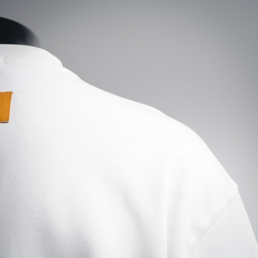 Louis 25fw printed shirt