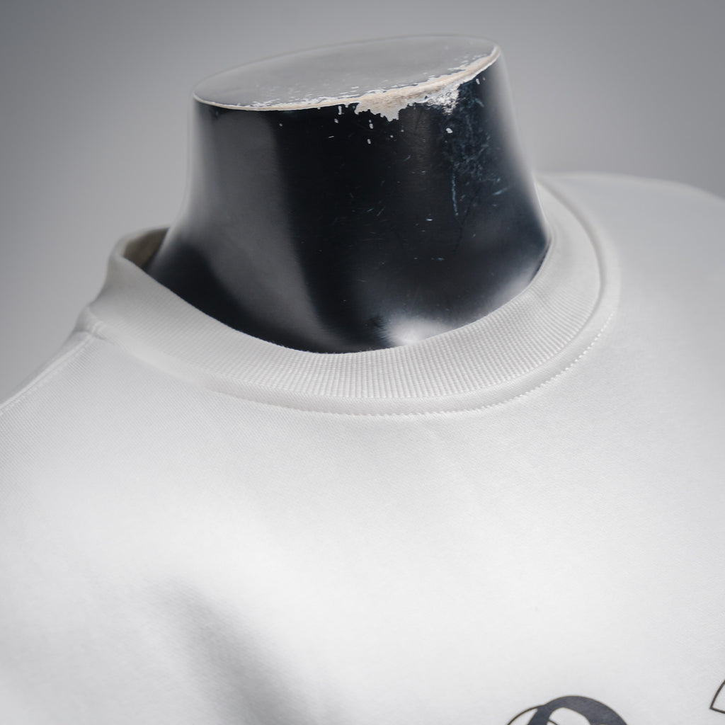 Louis 25fw printed shirt