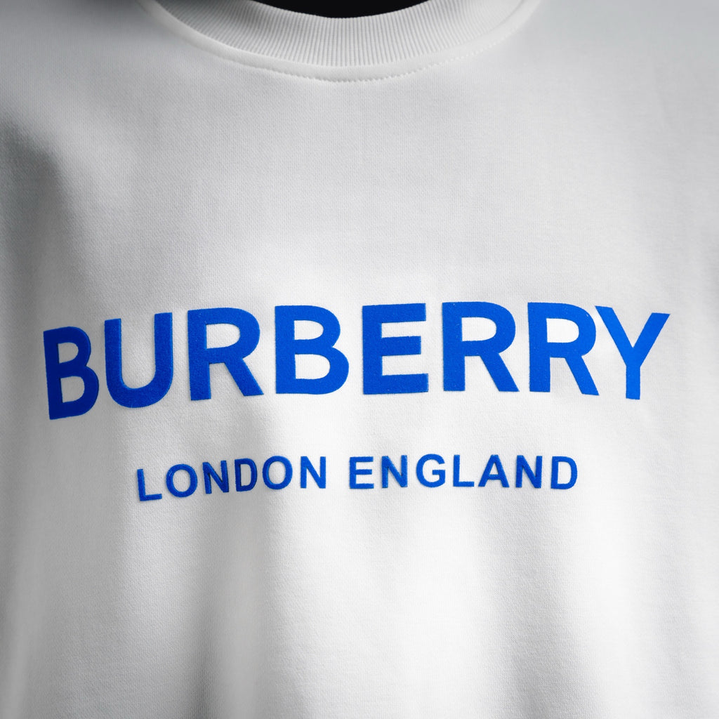 Burbery 25fw printed shirt