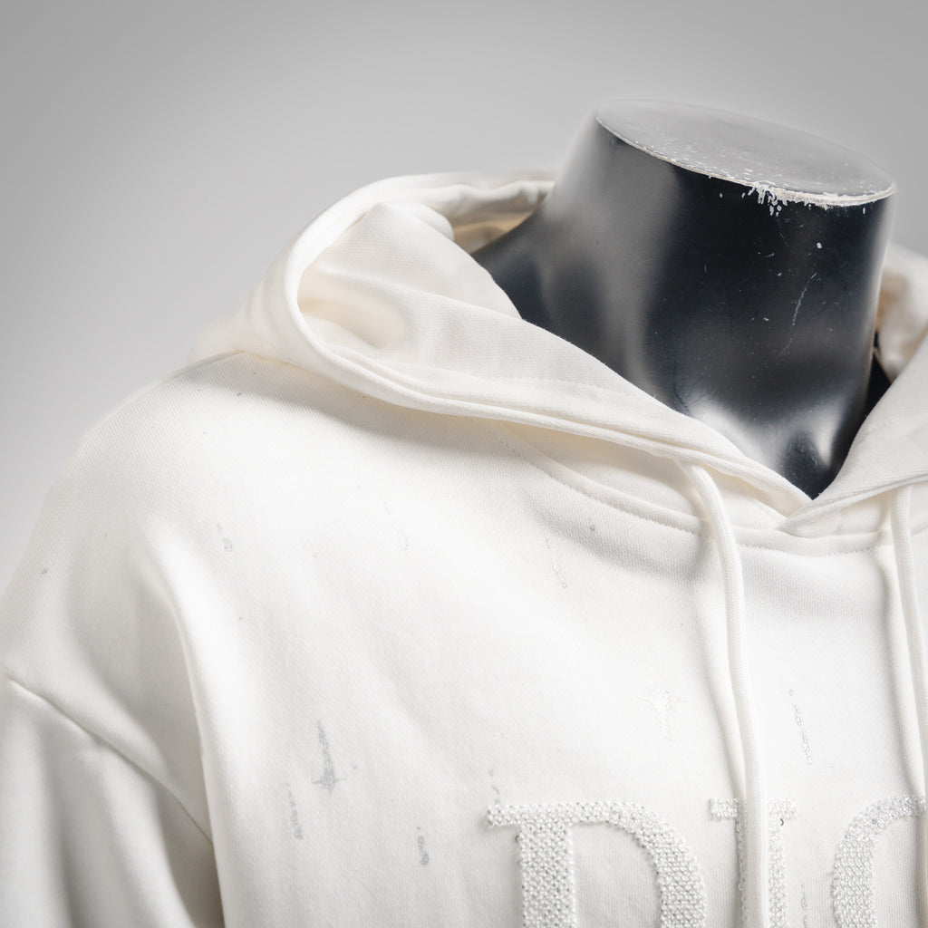 CD 25fw embroidered hoodie