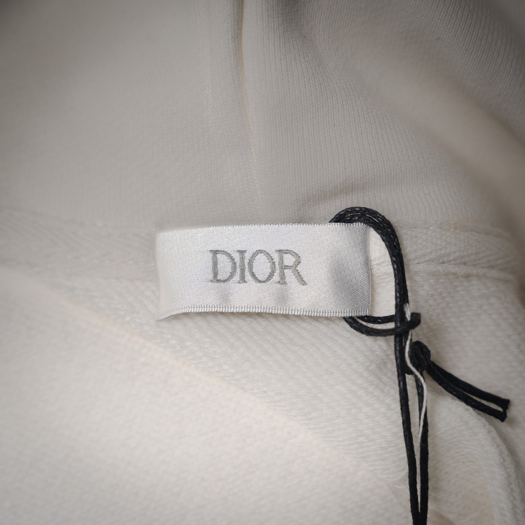 CD 25fw embroidered hoodie