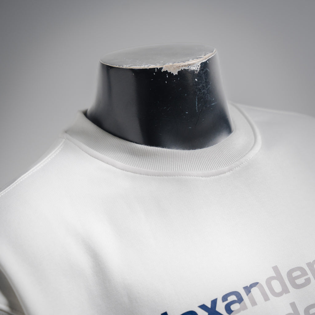 Alex 25fw printed shirt