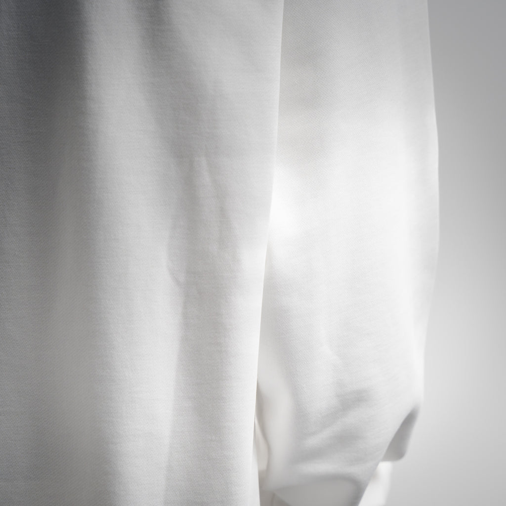 Louis 25fw embroidered shirt