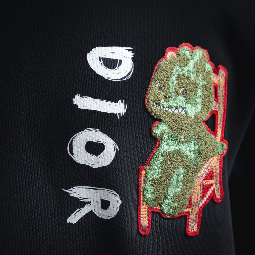 CD 25fw embroidered shirt