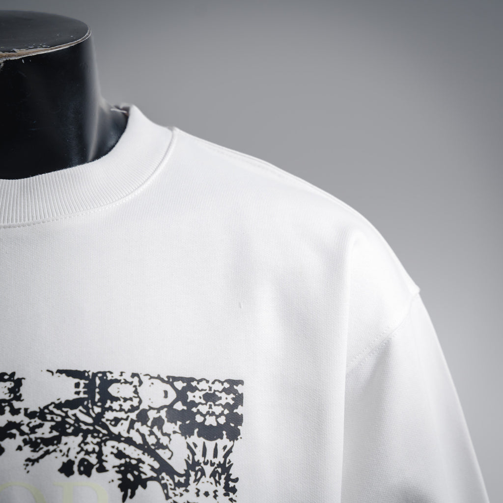 CD 25fw printed shirt