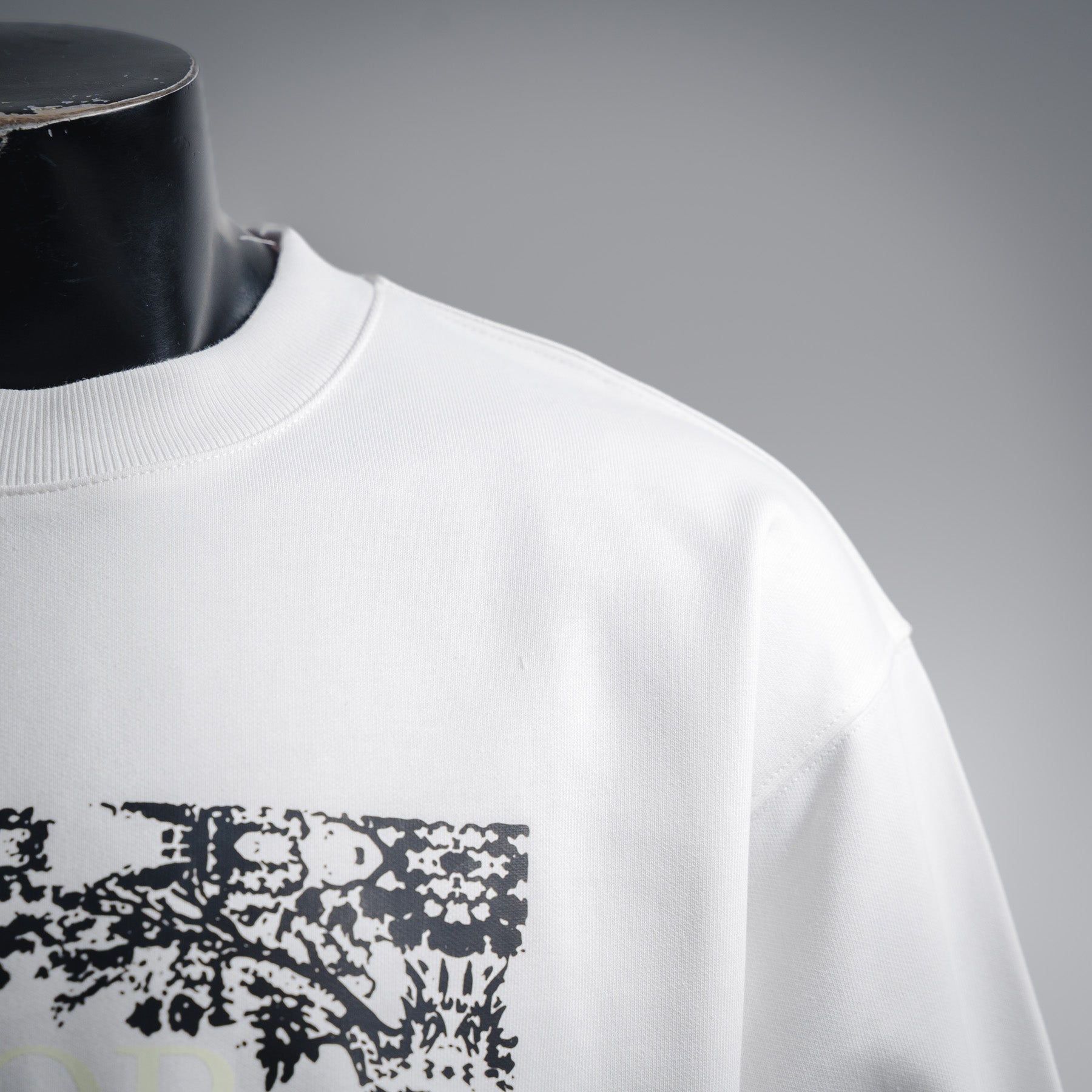 CD 25fw printed shirt