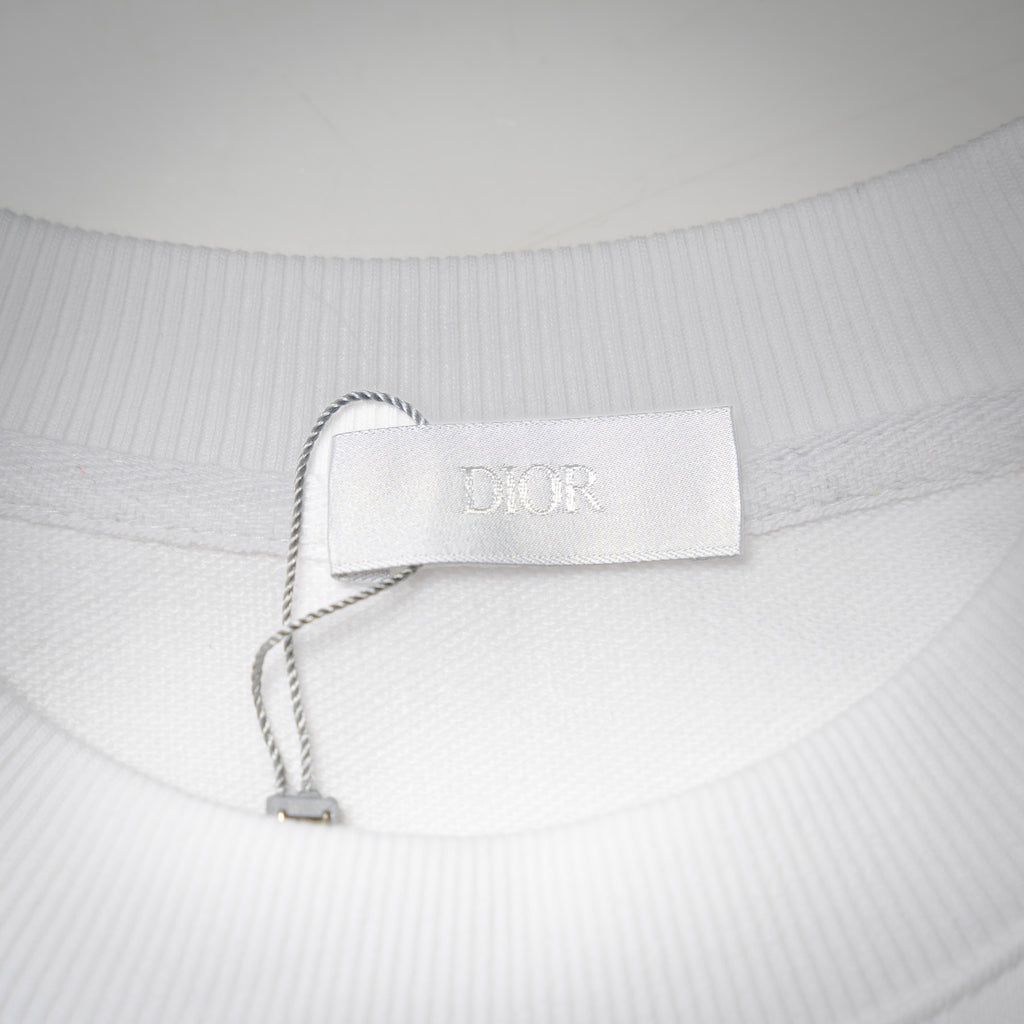 CD 25fw printed shirt