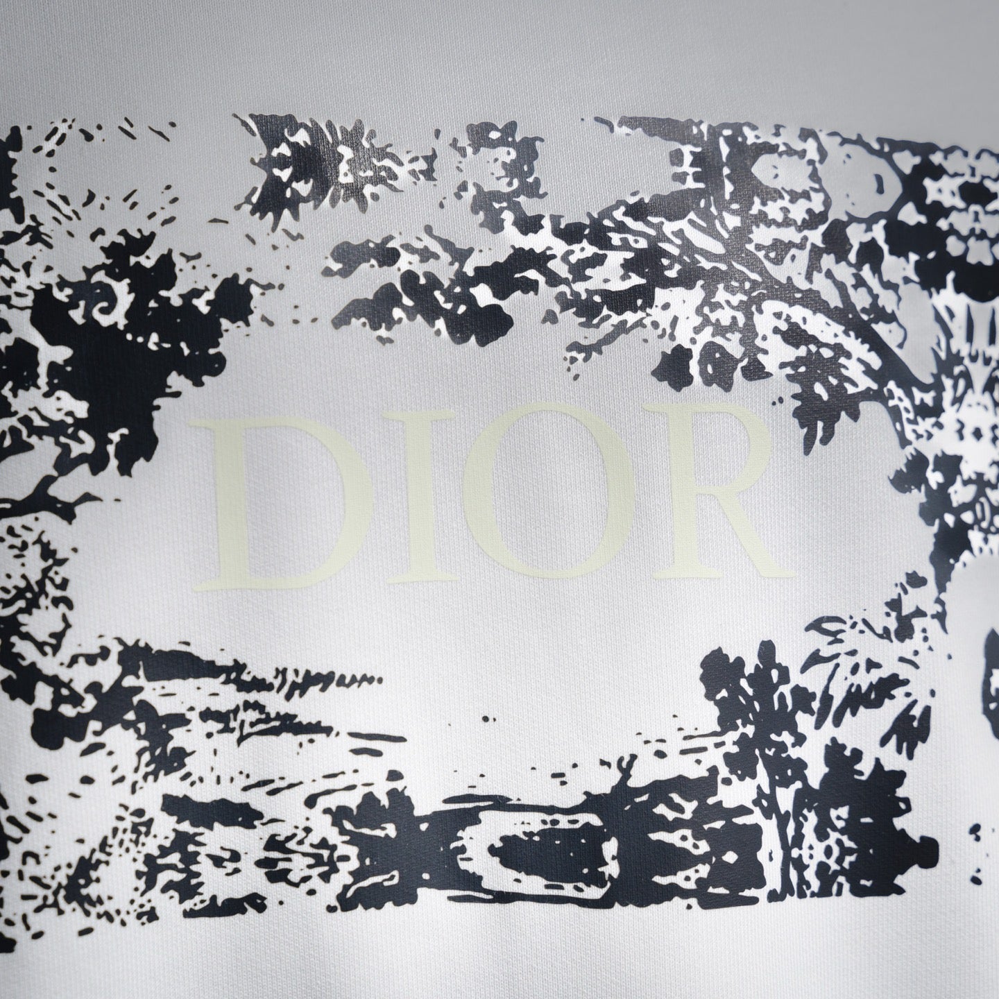 CD 25fw printed shirt