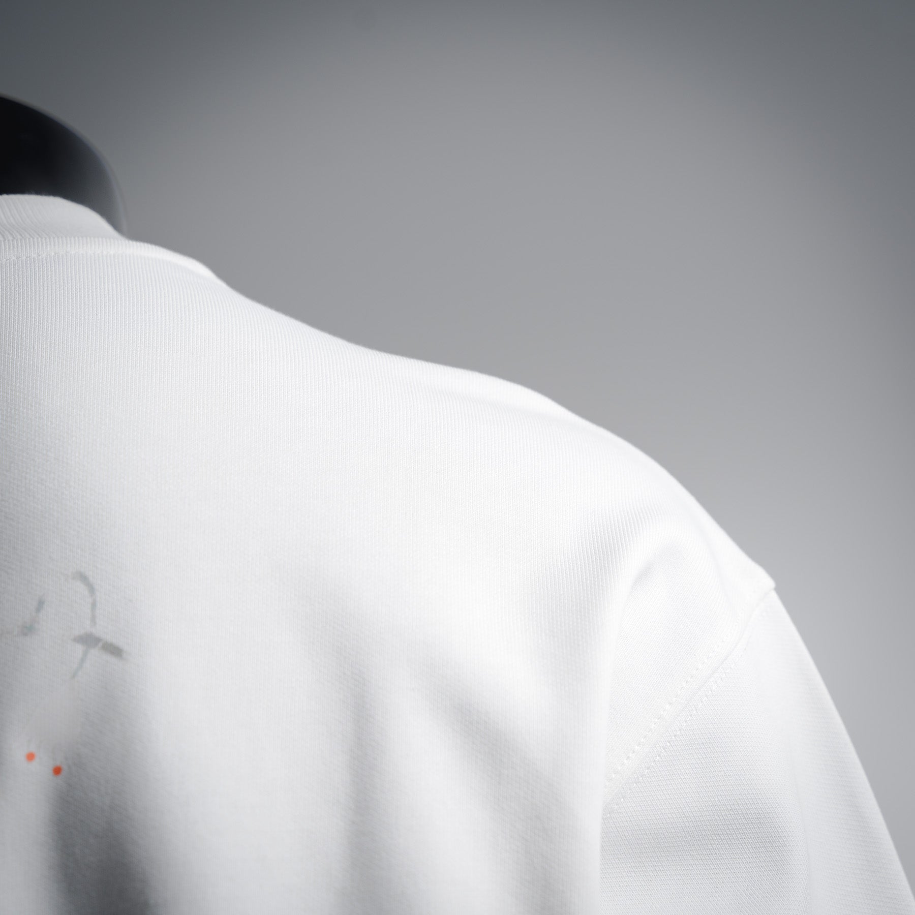 CD 25fw printed shirt