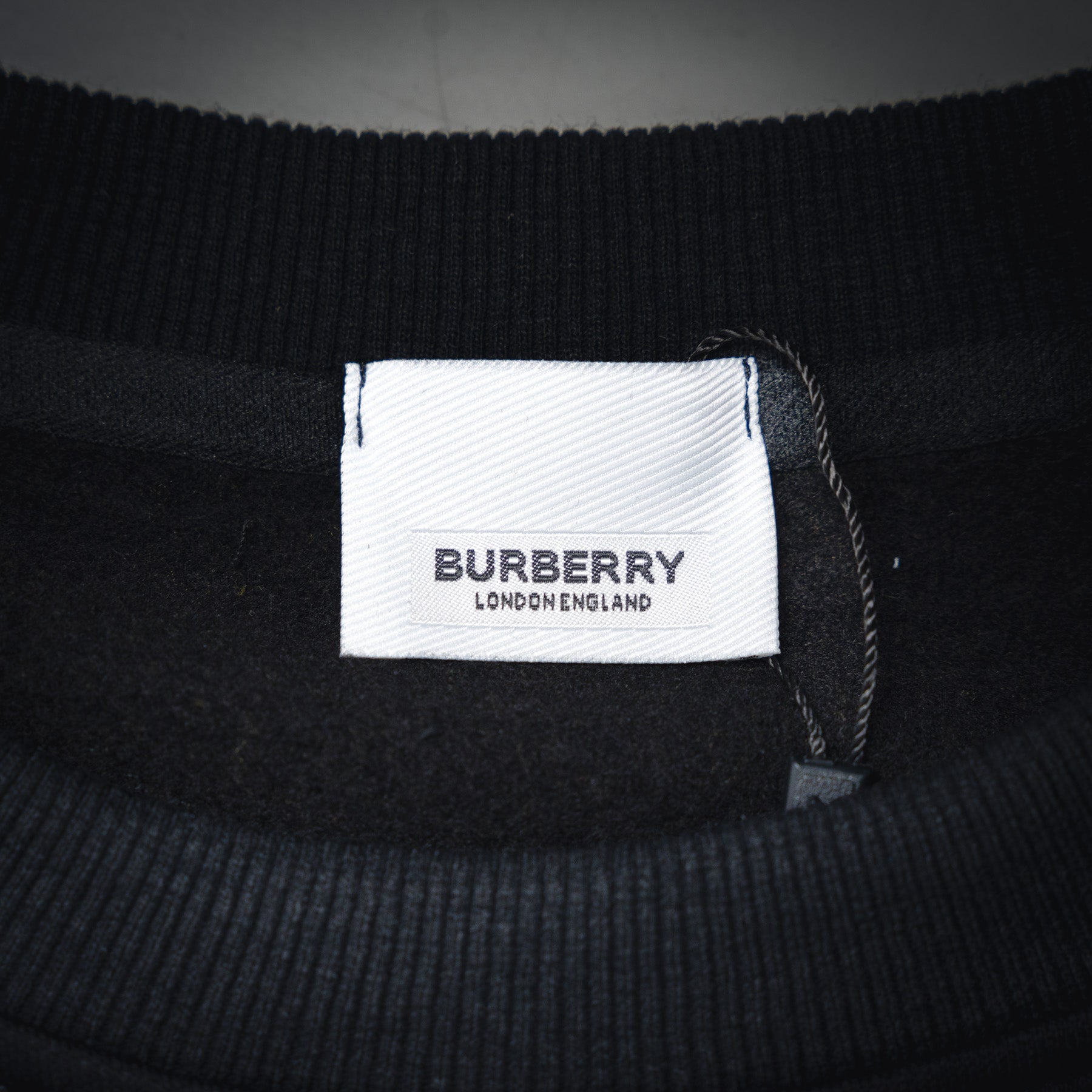 Balen 25fw printed sweatshirt