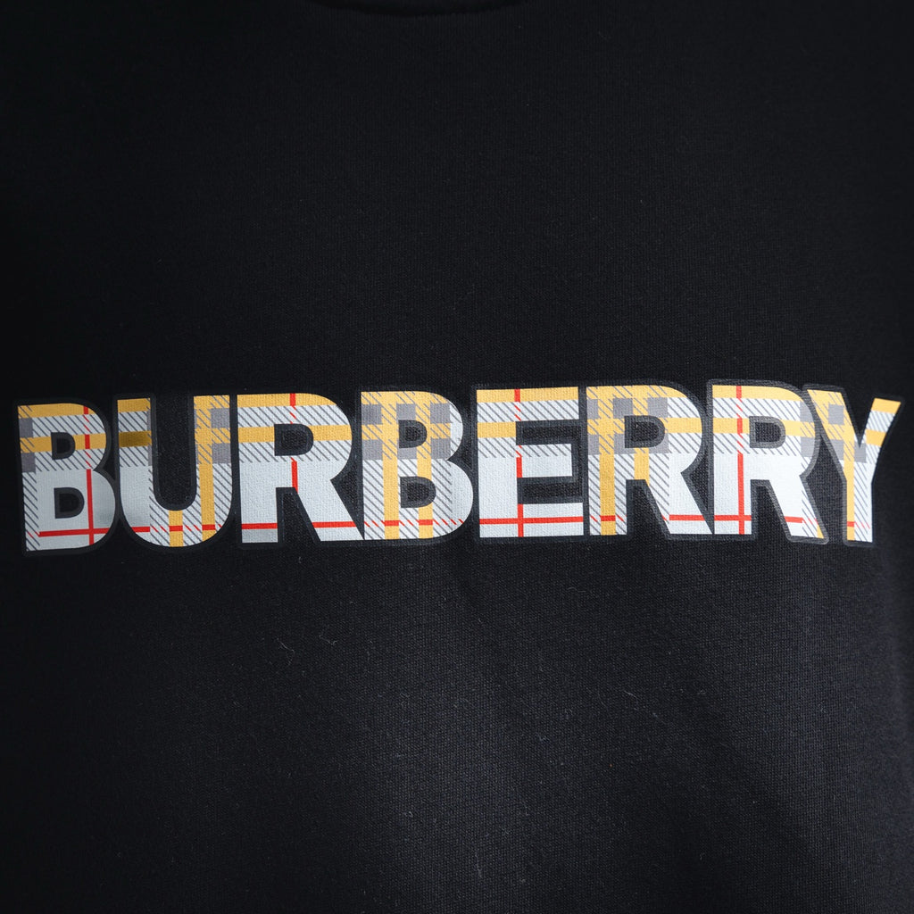 Balen 25fw printed sweatshirt