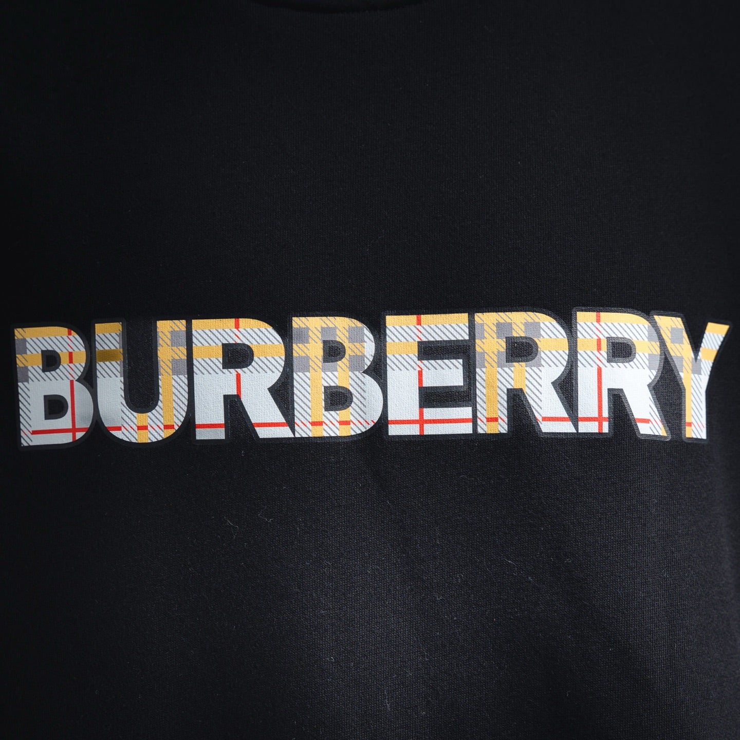 Balen 25fw printed sweatshirt