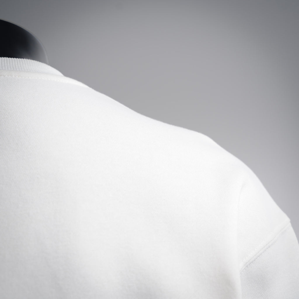 Balen 25fw printed sweatshirt