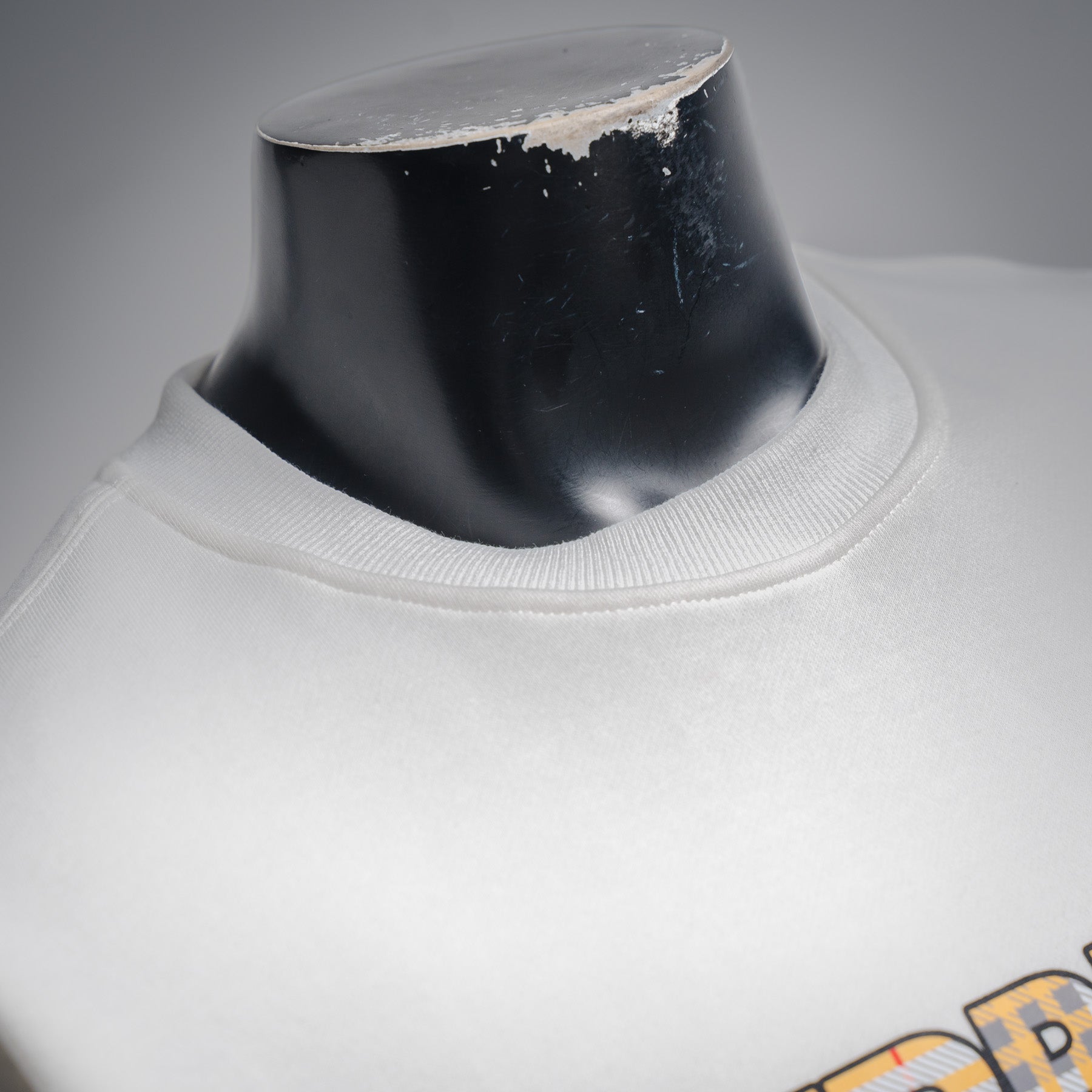 Balen 25fw printed sweatshirt