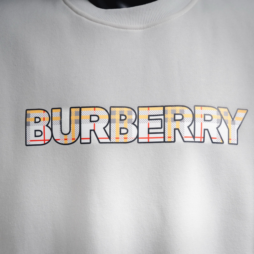 Balen 25fw printed sweatshirt