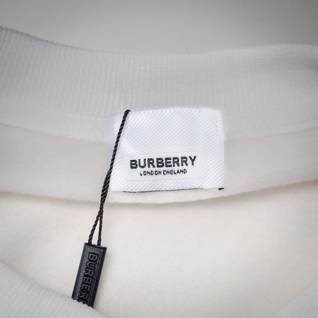 Balen 25fw printed sweatshirt