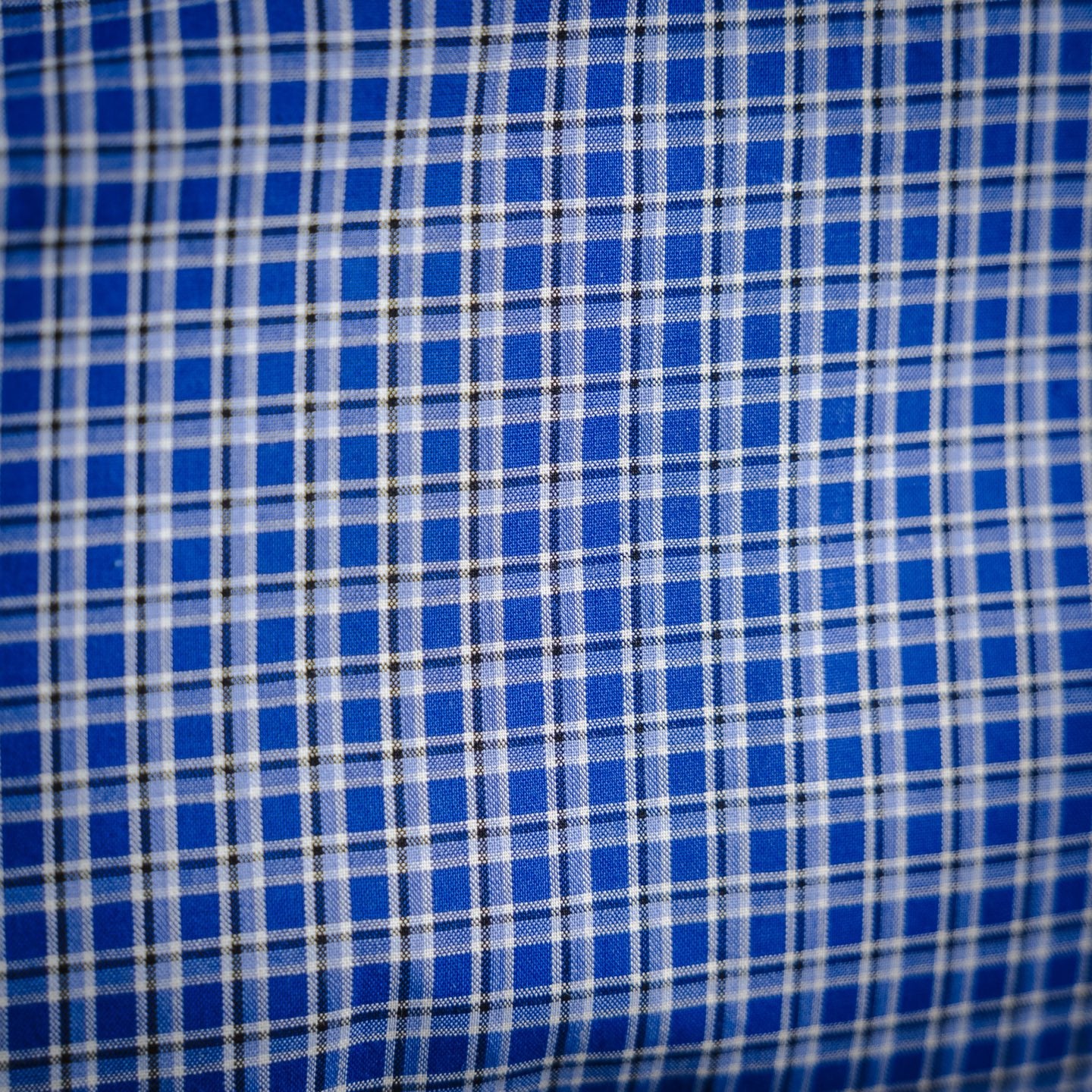 Miu 25fw embroidered shirt