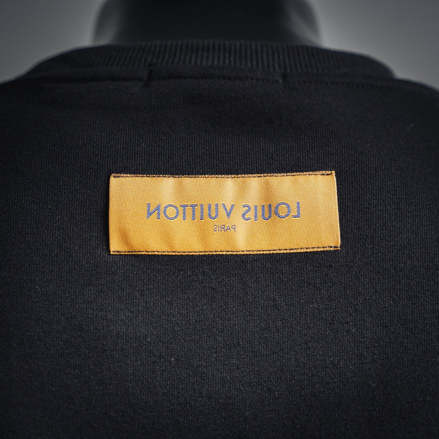 Louis 25fw printed sweatshirt