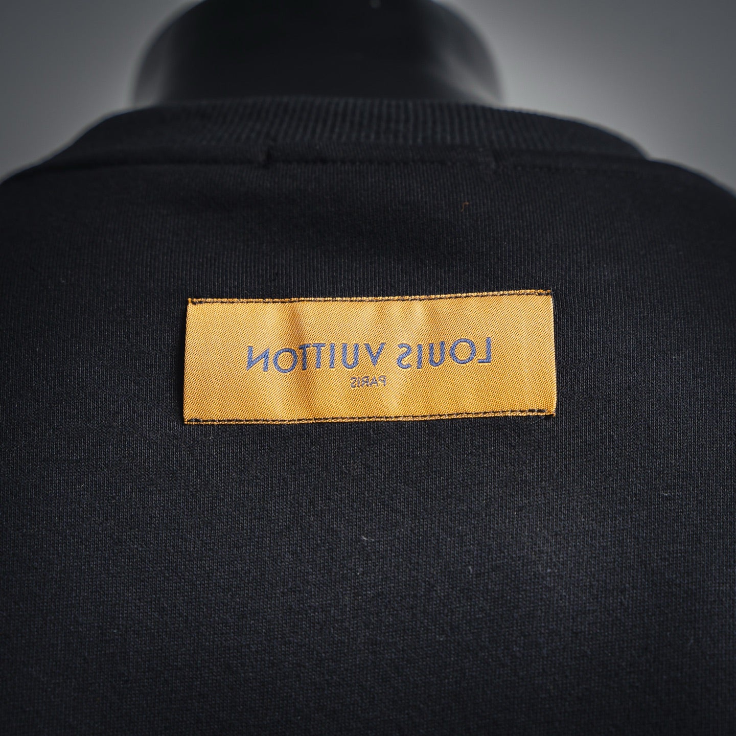 Louis 25fw printed sweatshirt