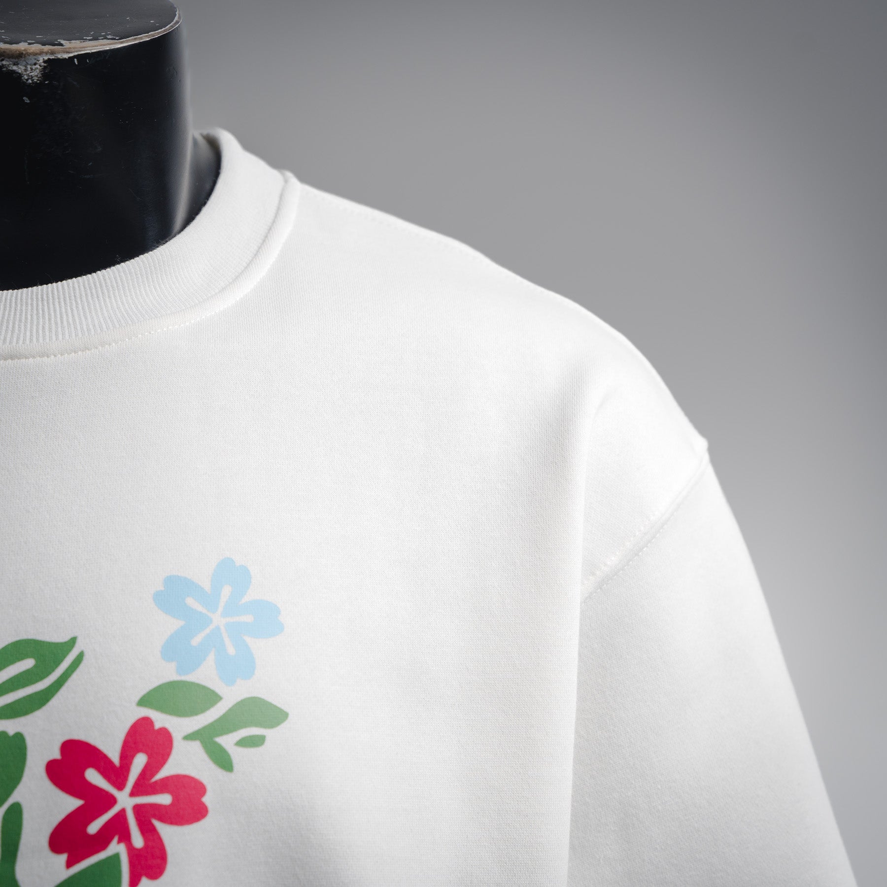 Louis 25fw printed sweatshirt