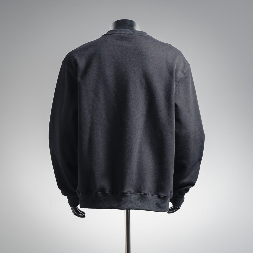 CD 25fw casual sweatshirt