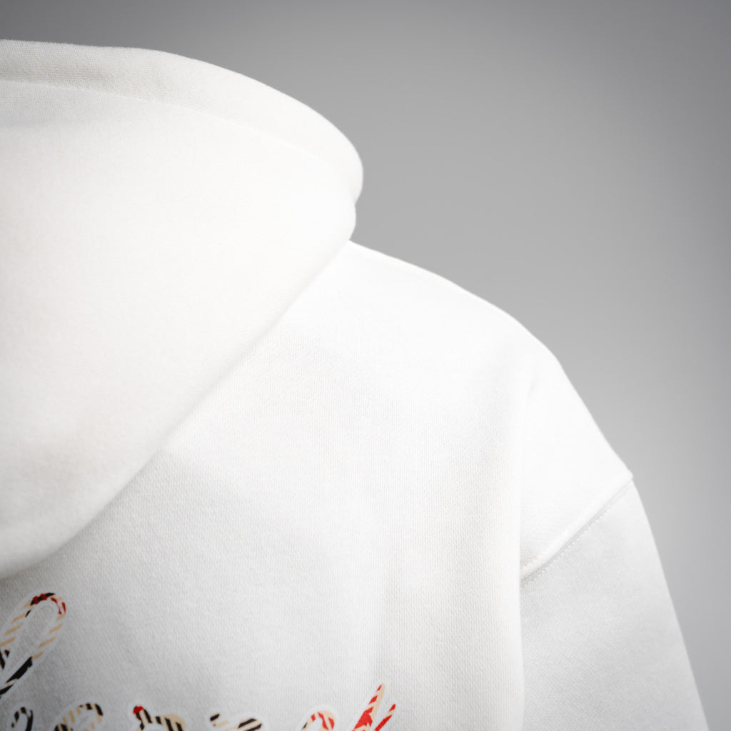 Burbery 25fw printed hoodie