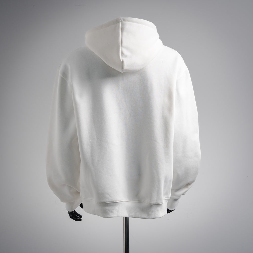 Louis 25fw printed hoodie