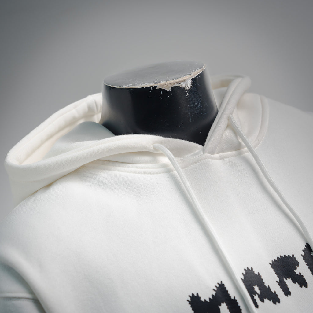 Louis 25fw printed hoodie