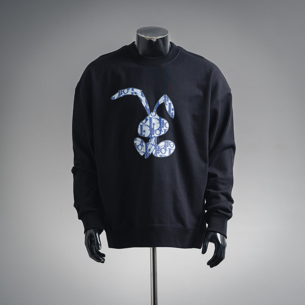 CD 25fw printed sweatshirt