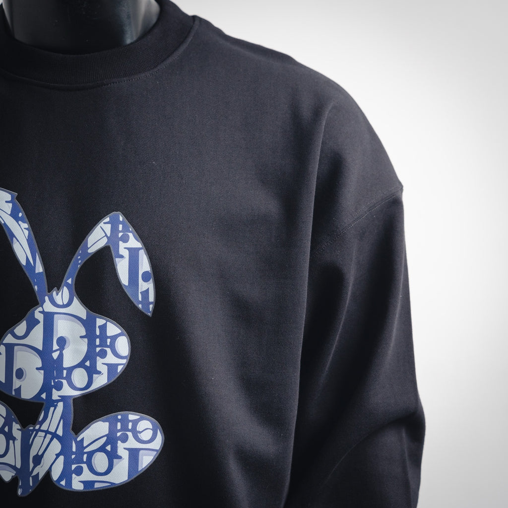CD 25fw printed sweatshirt