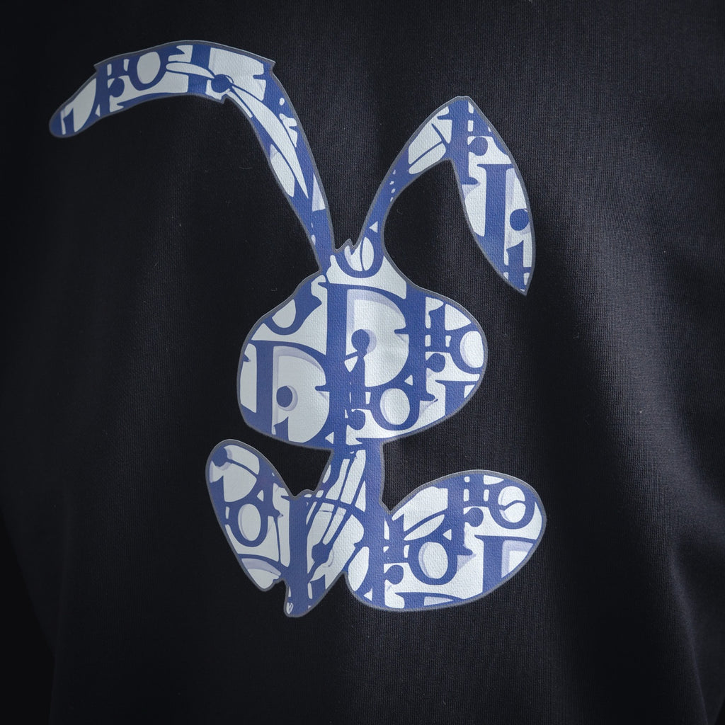 CD 25fw printed sweatshirt