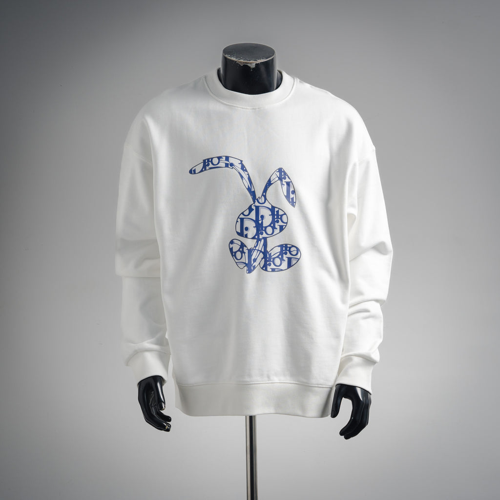 CD 25fw printed sweatshirt