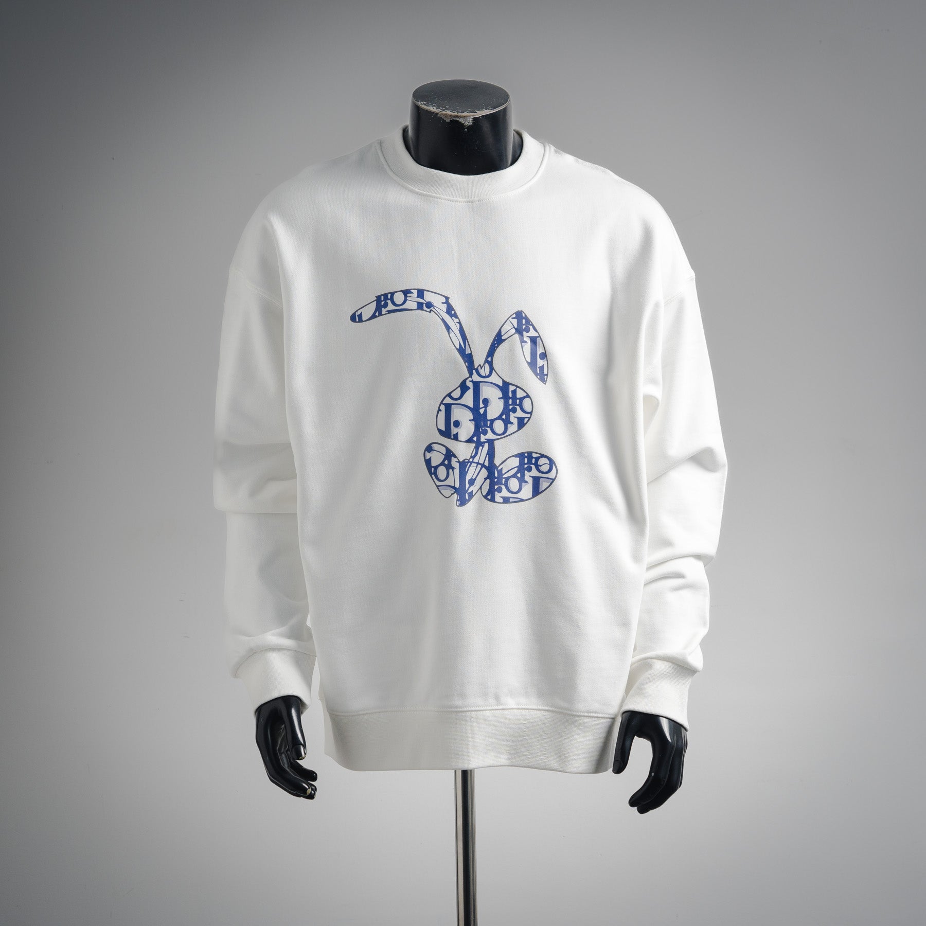 CD 25fw printed sweatshirt