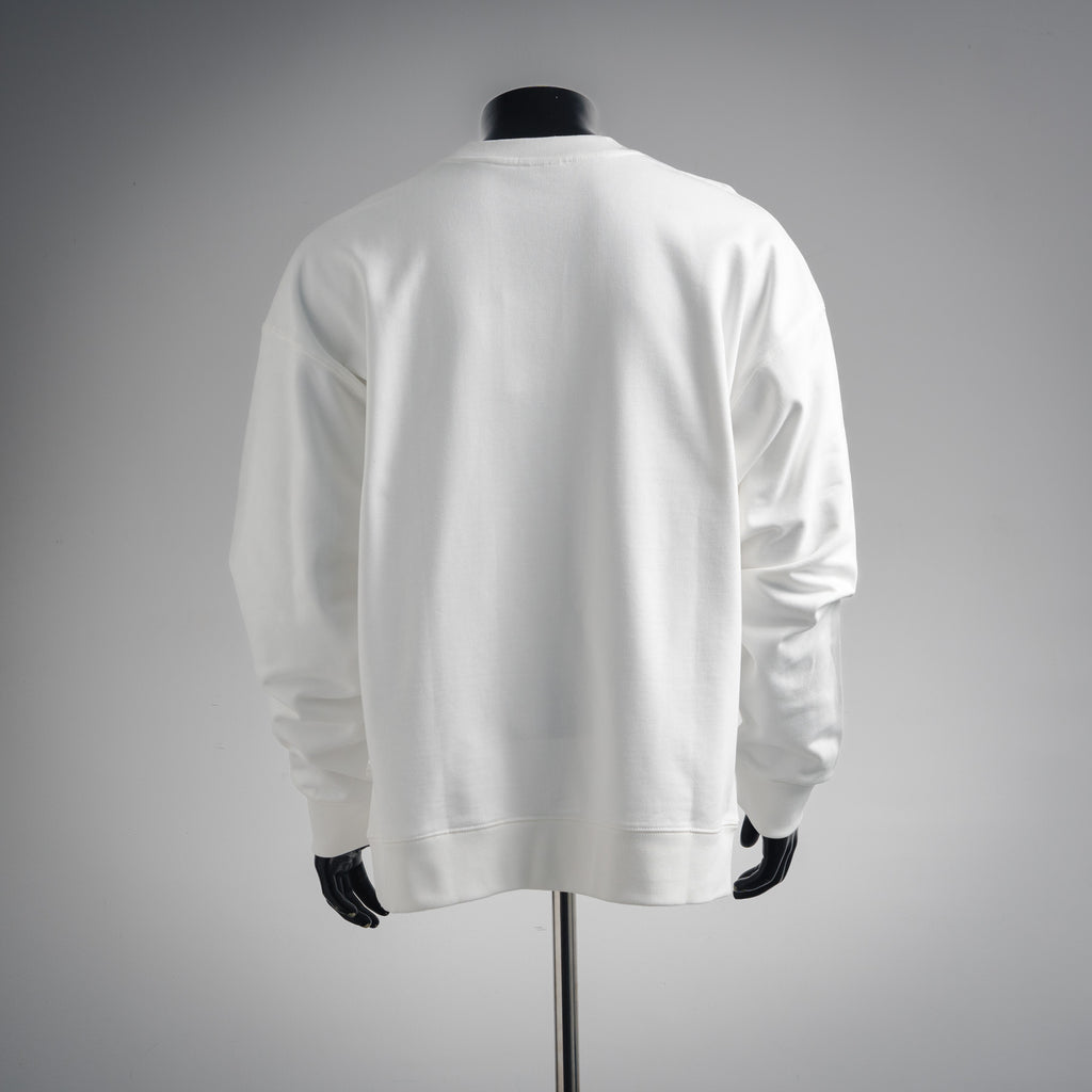 CD 25fw printed sweatshirt