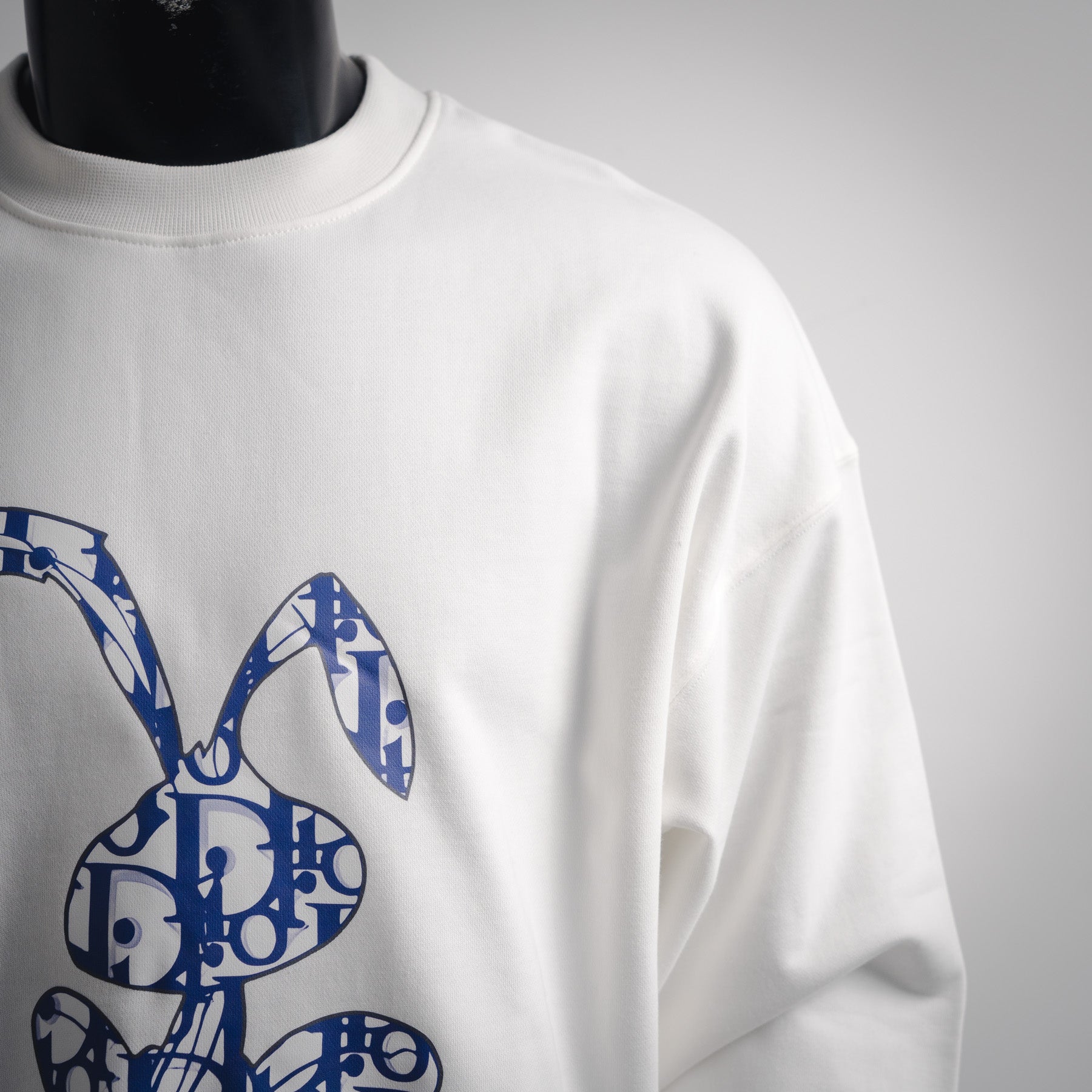 CD 25fw printed sweatshirt