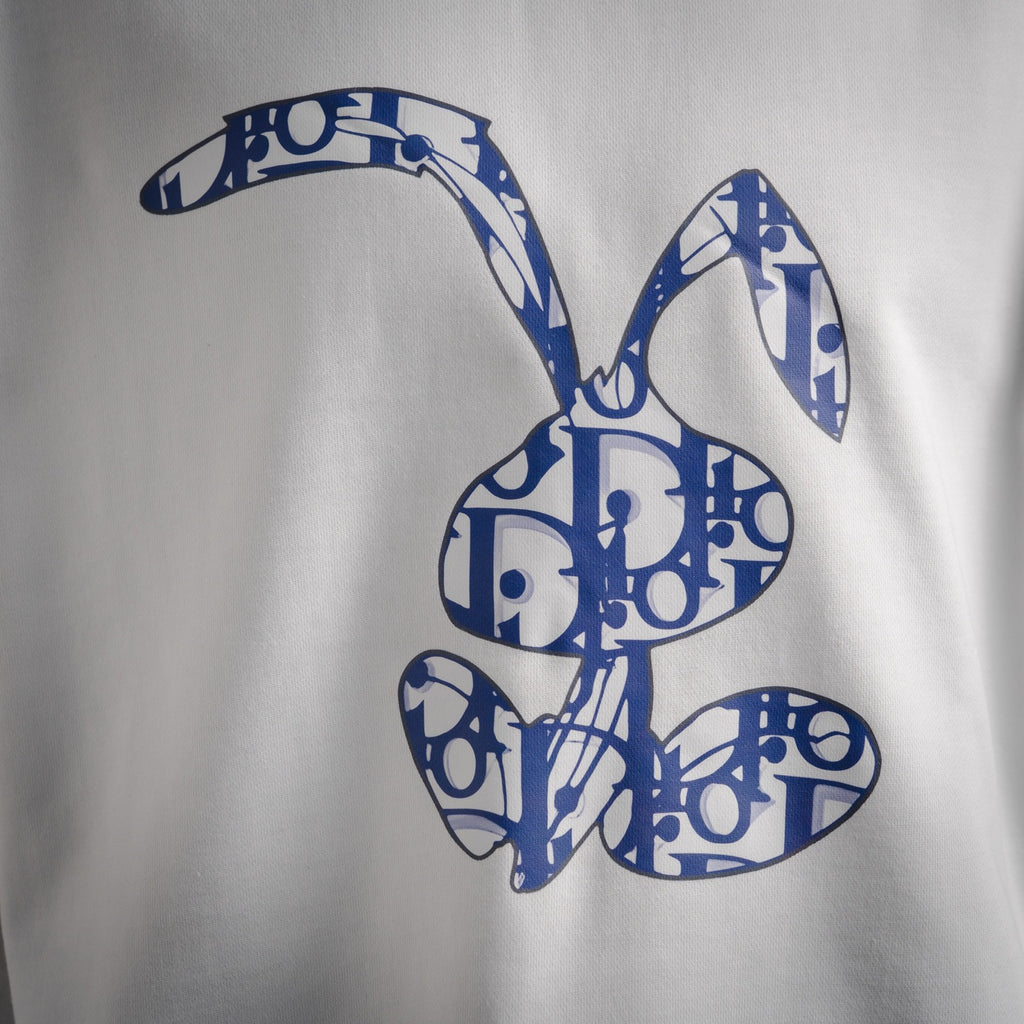 CD 25fw printed sweatshirt